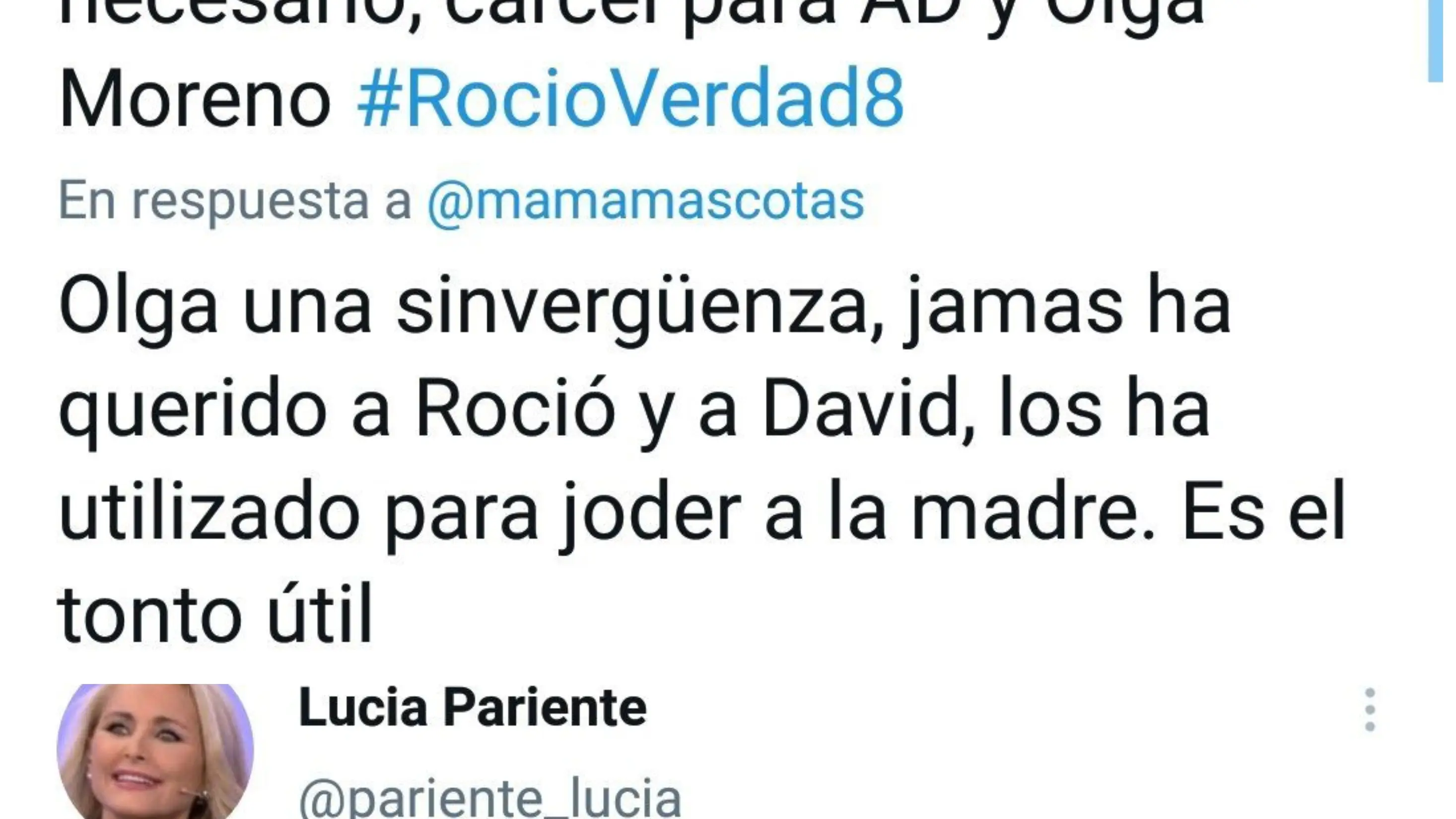 Polémicos tuits de Lucía Pariente