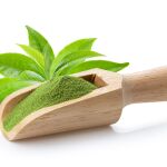 Té Matcha en polvo junto a una hoja de la planta