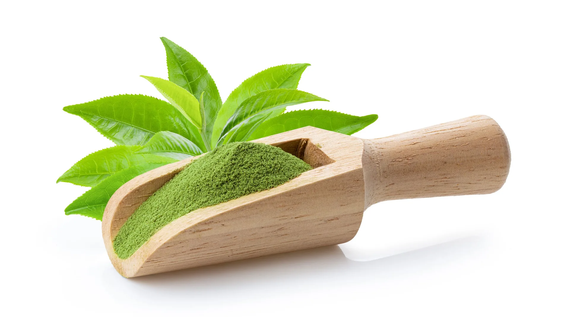 Té Matcha en polvo junto a una hoja de la planta