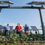 El emprendimiento sostenible es una de las herramientas más efectivas para dar respuesta al reto del clima.