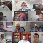 Celebración de la XI Asamblea General en formato telemático