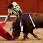 El diestro peruano Roca Rey será el gran protagonista de esta Feria Taurina de Burgos