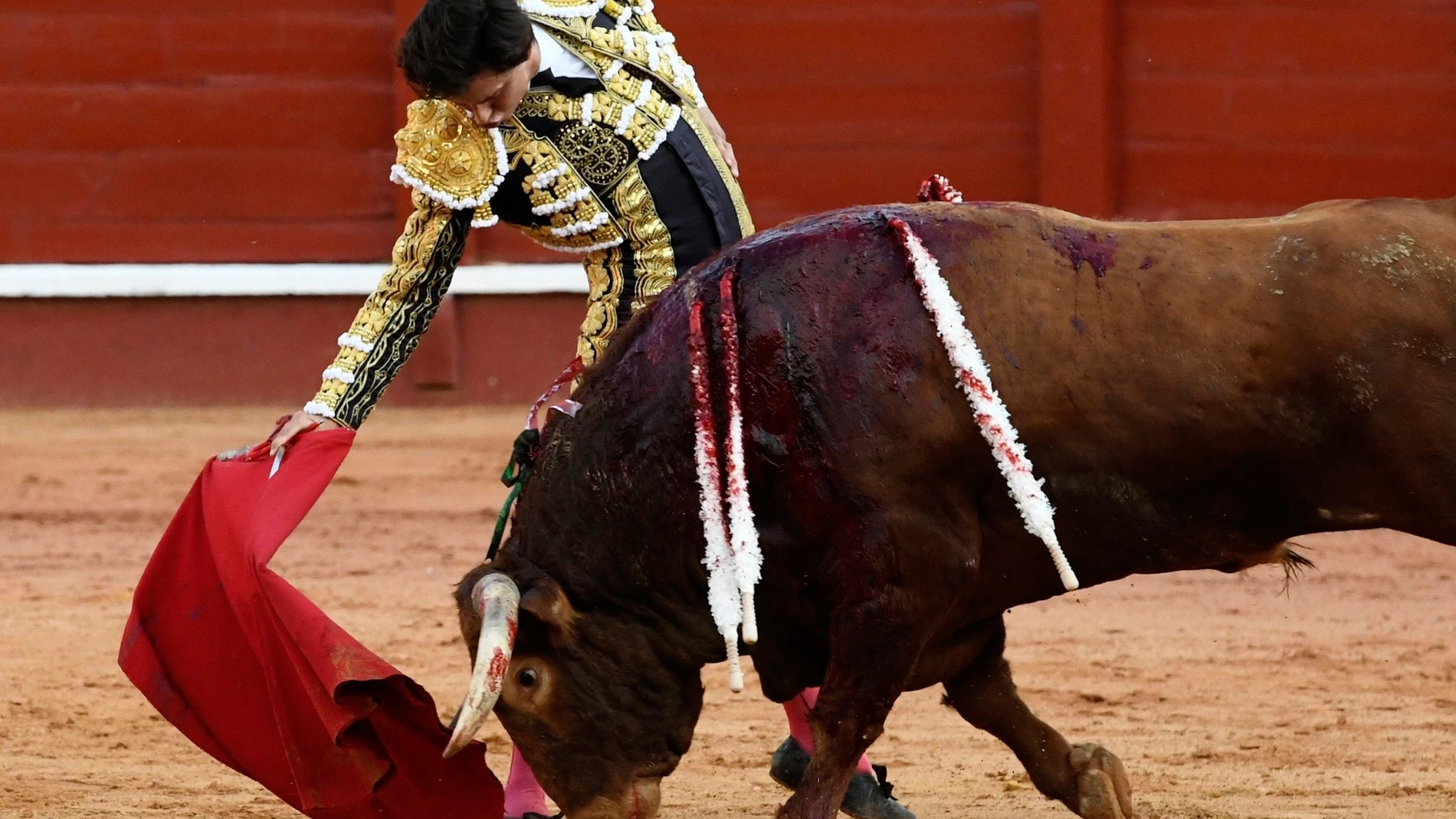 El diestro peruano Roca Rey será el gran protagonista de esta Feria Taurina de Burgos