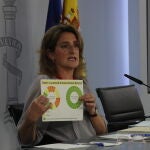 la ministra para la Transición Ecológica y vicepresidenta cuarta del Gobierno, Teresa Ribera, durante la rueda de prensa posterior a la reunión del Consejo de Ministros