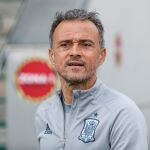 El seleccionador español, Luis Enrique