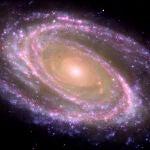 Ejemplo de galaxia espiral cercana, M81, donde se identifica el bulbo (la parte central rojiza) y el disco 