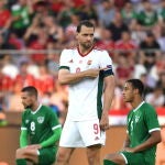 Adam Szalai, capitán y líder de Hungría.