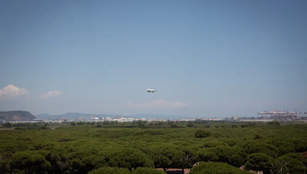 Un avión vuela cerca del espacio protegido natural de La Ricarda, a 9 de junio de 2021, en El Prat de Llobregat, Barcelona, Cataluña (España). La Ricarda es un espacio protegido de 800 metros de longitud y 100 de altura que consiste en un antiguo brazo de río abandonado. Está situado en el municipio de El Prat de Llobregat, junto al aeropuerto Josep Tarradellas Barcelona-El Prat.09 JUNIO 2021;LA RICARDA;BARCELONA;ESPACIO NATURAL;CATALUÑA;AEROPUERTODavid Zorrakino / Europa Press09/06/2021
