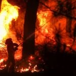 El incendio forestal se inició en el término de Serradilla del Arroyo (Salamanca) alrededor de las 16.30 horas. Durante toda la noche cuadrillas de bomberos están luchando contra el fuego