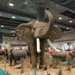 Un gran elefante representa la taxidermia en el centro del pabellón