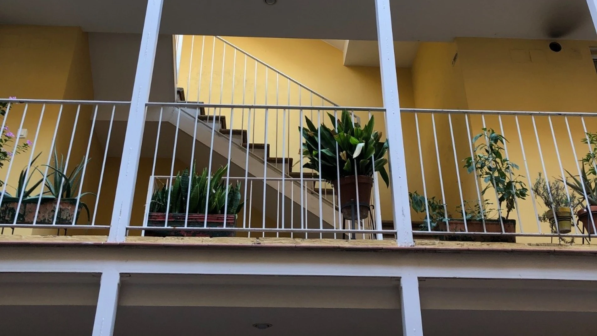 Viviendas en calle Rodrigo de Triana en Sevilla