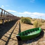 La desertificación amenaza al 75 por ciento del territorio español