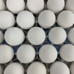 ACOMPAÑA CRÓNICA: COERONAVIRUS BRASIL - AME7367. SAO PAULO (BRASIL), 21/06/2021.- Detalle de varios huevos de gallina en un laboratorio el 18 de junio de 2021, en Sao Paulo (Brasil). Los científicos brasileños trabajan a contrarreloj para producir el primer inmunizante anticovid de un país que ya supera el medio millón de muertos. El reto: conseguir veinte millones de huevos de gallina para fabricar 40 millones de dosis de la vacuna. El fármaco, bautizado como Butanvac, está siendo desarrollado por el Butantan, uno de los laboratorios de referencia en Brasil y que actualmente es responsable de la producción local de la Coronavac, la vacuna ideada por la china Sinovac. EFE/ Alba Santandreau