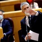 El ministro del Interior, Fernando Grande-Marlaska durante la sesión de control al Gobierno en el Senado