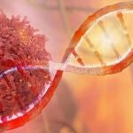 La toma de antihistamínicos H1 por parte de los pacientes que recibían inmunoterapia se asocia significativamente con una mayor supervivencia global, según un nuevo estudio