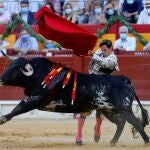 Juli Toros