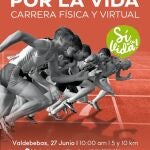 Cartel de la carrera de este domingo