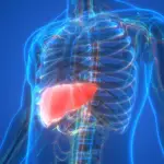 El colangiocarcinoma agrupa un conjunto heterogéneo de tumores que se desarrollan en los conductos biliares