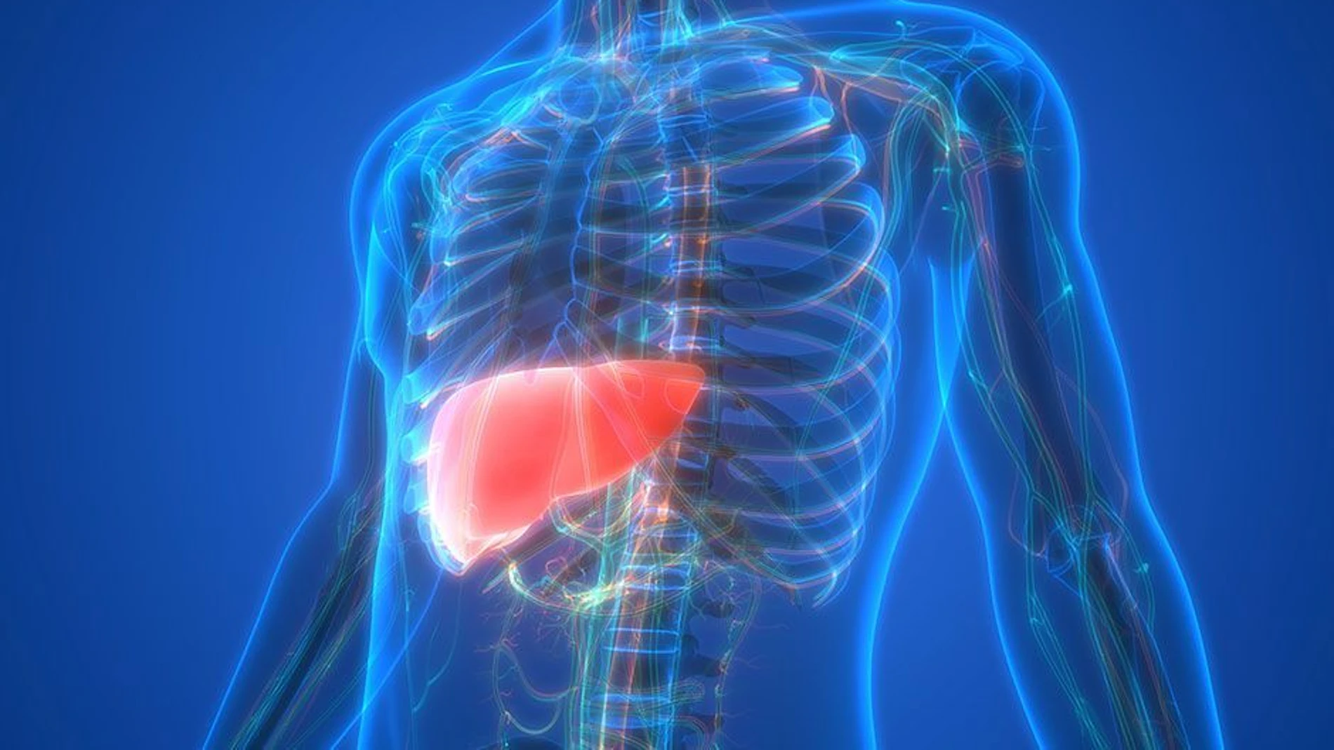 El colangiocarcinoma agrupa un conjunto heterogéneo de tumores que se desarrollan en los conductos biliares