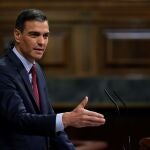 El presidente del Gobierno, Pedro Sánchez, comparece este miércoles en el Pleno del Congreso para explicar los indultos a los líderes independentistas e informar de la situación política y económica