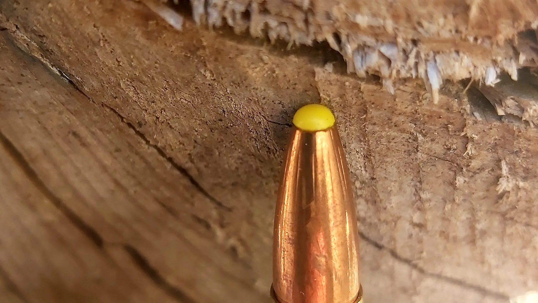 Detalle de la punta de la bala.