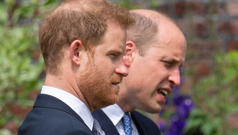 Los príncipes Harry y William de Inglaterra en su última aparición pública