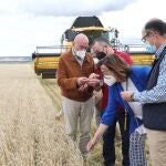 El consejero de Agricultura, Ganadería y Desarrollo Rural, Jesús Julio Carnero, presenta los datos de la cosecha de cereal en Castilla y León, junto a Ángeles Armisén, entre otros