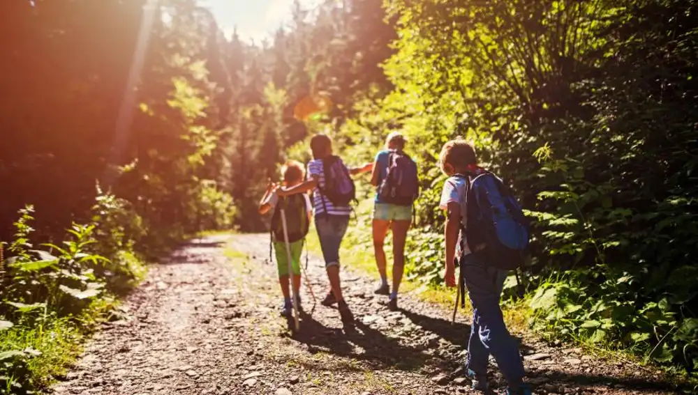 Menores de edad durante una excursión en la montaña.