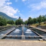 Los usuarios de las diez piscinas son en la actualidad 30.000 esturiones