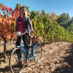 Ruta enoturística que organiza el Ayuntamiento de Valladolid
