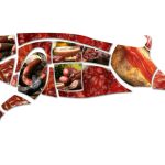 Ilustración de la carne procedente del cerdo