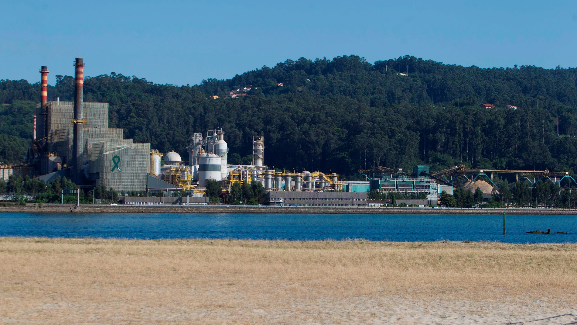 Fábrica de Ence en Pontevedra