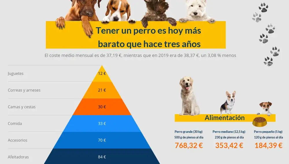 Pirámide del coste medio de tener un perro