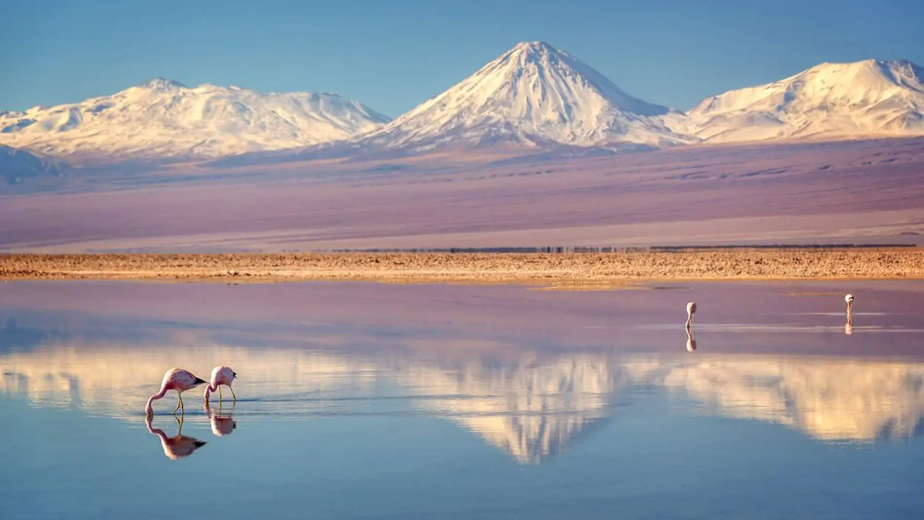 Desierto de Atacama