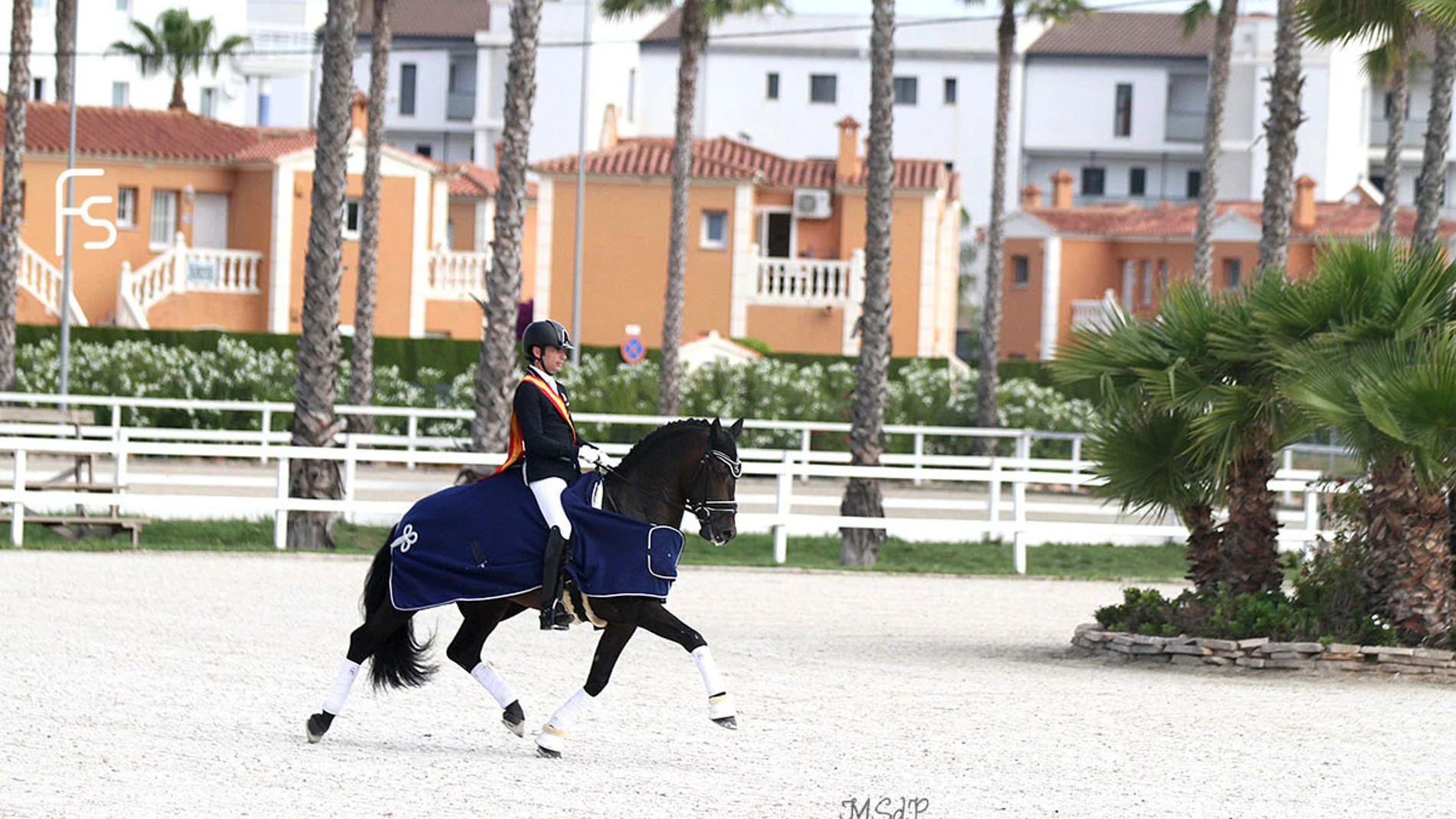 Norteño, de la yeguada Arroyomonte