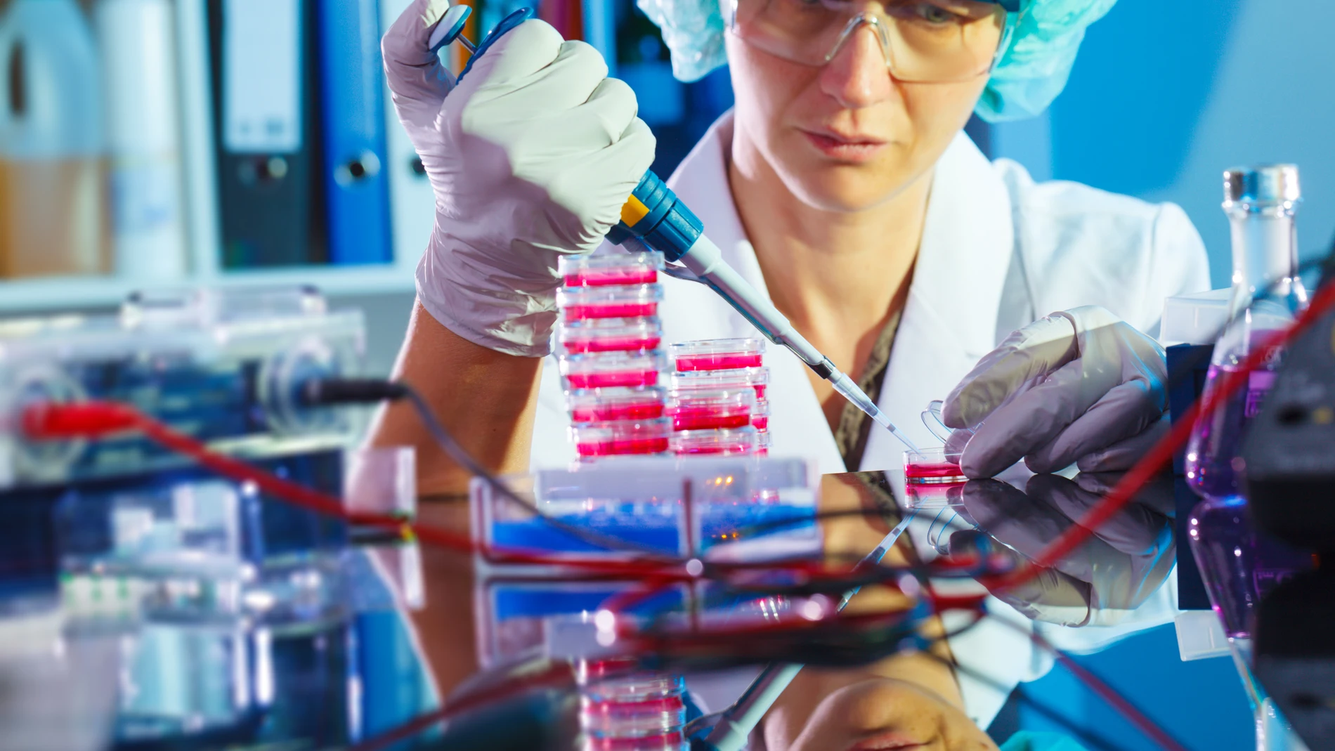 Laboratorio de microbiología
