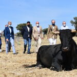 El consejero de Agricultura, Ganadería y desarrollo Rural, Jesús Julio Carnero, visita en Cardeñosa las fincas y cebaderos donde se crían ejemplares de raza avileña amparados por la IGP Carne de Ávila