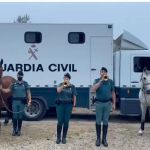 Captura del vídeo de la Diana Floreada en homenaje al Regimiento Alcántara