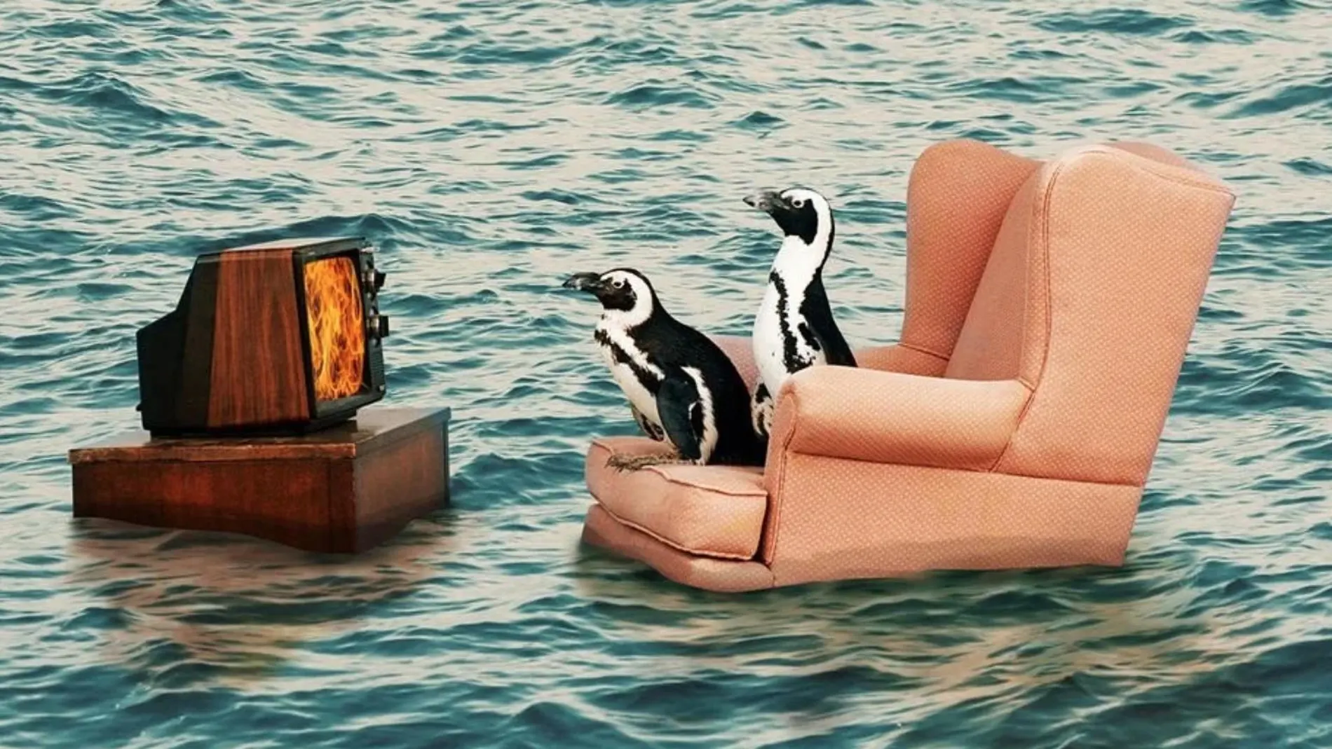 Un mundo más cálido no es un lugar seguro