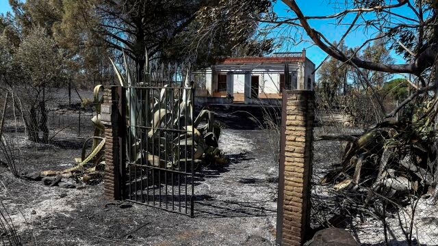 Zona quemada en el incendio forestal declarado a primera hora de la tarde de ayer en Villarrasa (Huelva)