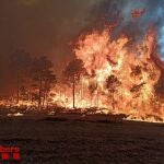 Un flanco activo de un incendio en Cataluña