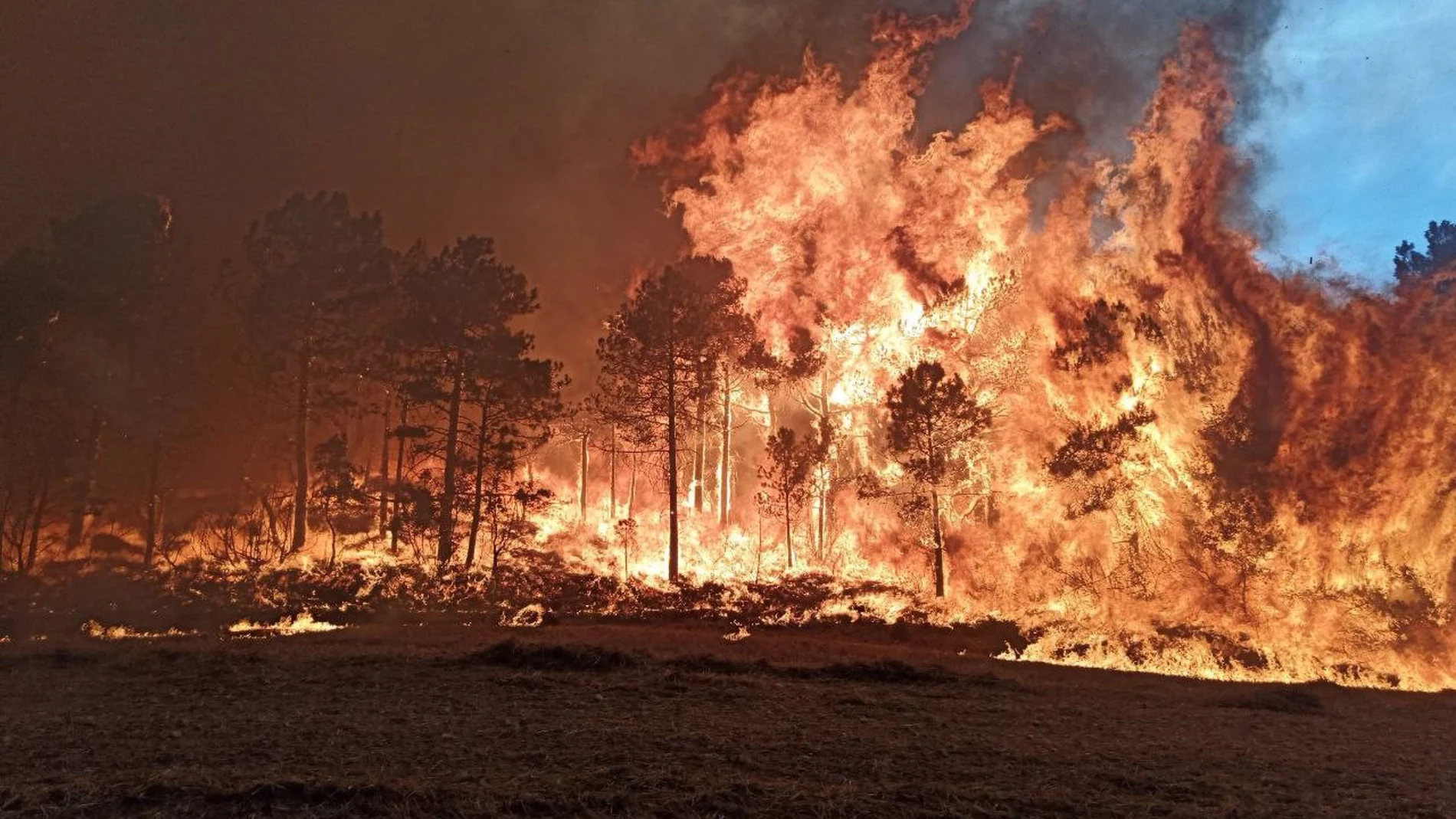 Un flanco activo de un incendio en Cataluña