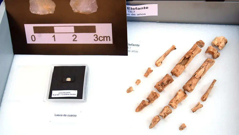 Balance de la campaña de excavaciones Atapuerca 2021