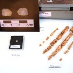 Balance de la campaña de excavaciones Atapuerca 2021