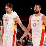 Pau Gasol y Marc Gasol