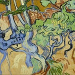 "Raíces de árbol"