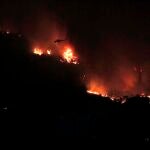 La Unión Europea continúa aunando esfuerzos, a través de su Mecanismo de Protección Civil, para ayudar en las operaciones de extinción de los incendios en Grecia y otros países del Mediterráneo, tareas en las que participan medios aéreos y terrestres y bomberos de once Estados miembros.