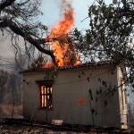 No solo la devastadora ola de calor es la que ha inquietado al país, sino también los fuertes vientos que se levantaron y que dificultaban controlar el fuego