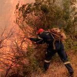 El viceministro de Protección Civil de Grecia, Nikos Hardalias, ha calificado en la noche de este domingo como "difícil" la situación del gran incendio de la isla griega de Eubea, la segunda más grande del país. También Atenas o el Peloponeso han acabado muy afectados.