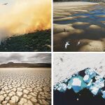 Eco-calipsis